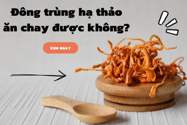 đông trùng hạ thảo ăn chay được không