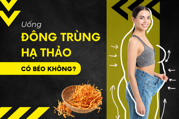 uống đông trùng hạ thảo có béo không