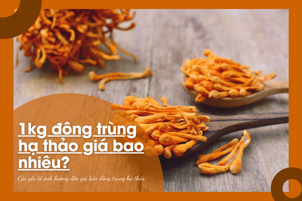 1kg đông trùng hạ thảo giá bao nhiêu? Có đắt ...