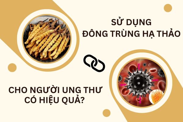 Cách dùng đông trùng hạ thảo cho người ung thư ...