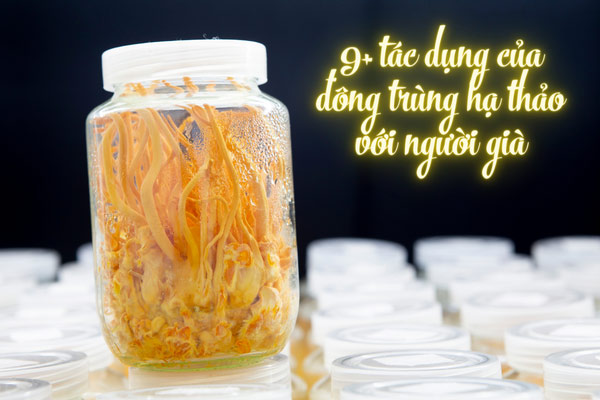 #9+ Tác dụng của đông trùng hạ thảo với người ...