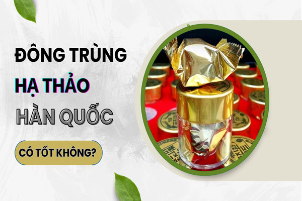 Top 5 viên đông trùng hạ thảo Hàn Quốc hàng ...