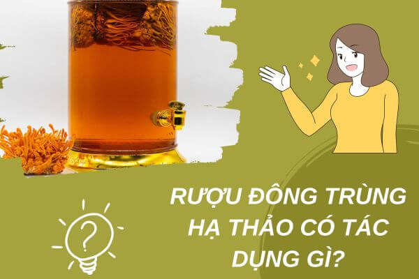 Rượu đông trùng hạ thảo có tác dụng gì? công ...