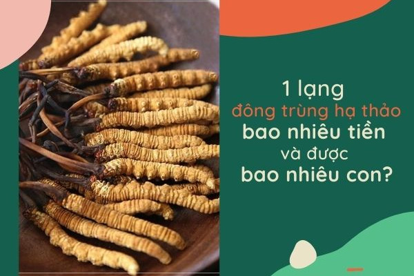 1 lạng đông trùng hạ thảo có giá bao nhiêu ...