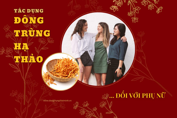 #6 Giai đoạn phụ nữ nên dụng đông trùng hạ ...