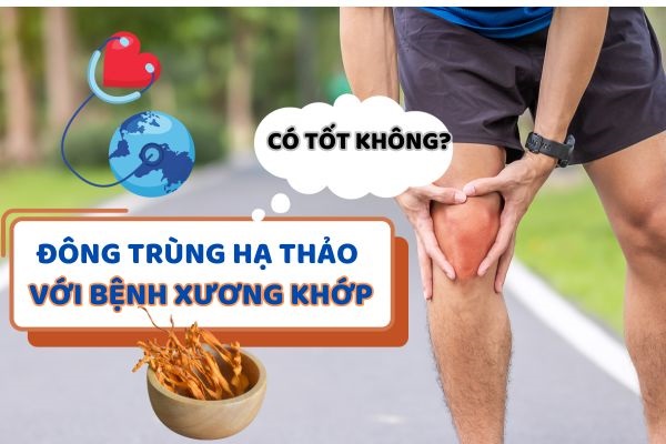 Đông trùng hạ thảo có tốt cho bệnh xương khớp ...