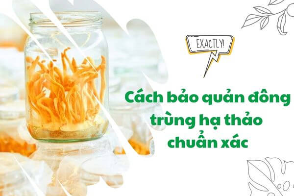 Những cách bảo quản đông trùng hạ thảo tươi, khô ...