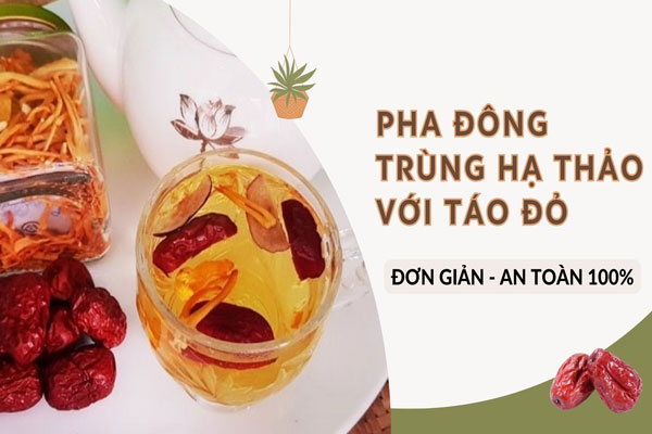 Hướng dẫn cách pha đông trùng hạ thảo với táo ...