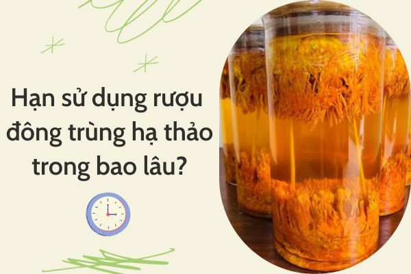 Hạn sử dụng rượu đông trùng hạ thảo trong bao ...