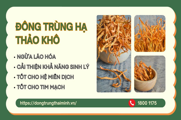 Đông trùng hạ thảo khô: Ngâm rượu, hãm trà, nấu ...