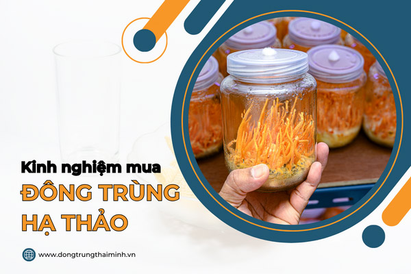 7+ kinh nghiệm mua đông trùng hạ thảo chất lượng ...