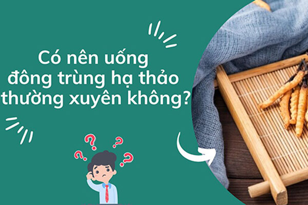 Có nên uống đông trùng hạ thảo thường xuyên không?