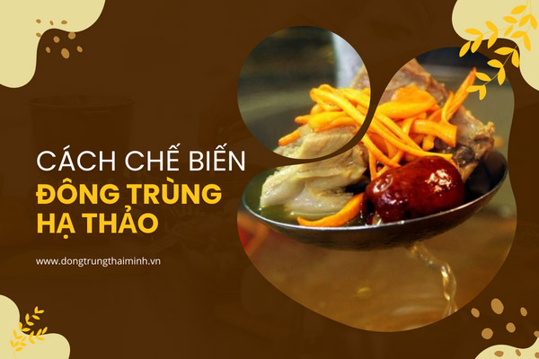 Cách chế biến đông trùng hạ thảo tươi, khô, nguyên ...