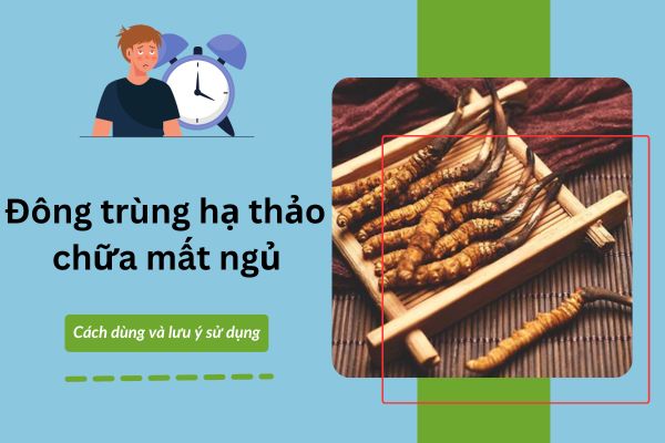 6+ Cách dùng đông trùng hạ thảo chữa mất ngủ ...